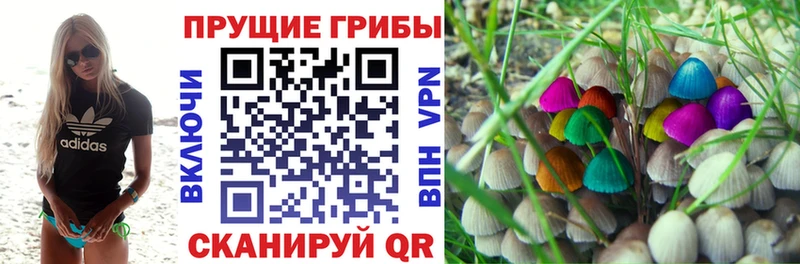Псилоцибиновые грибы Magic Shrooms  blacksprut   Бирюсинск 