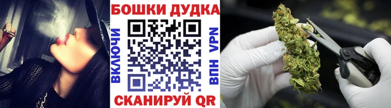 Бошки Шишки планчик  Бирюсинск 